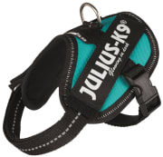 Hundesele Julius K9 IDC Baby 2 14816 Petrol 2XS/S 33-45cm