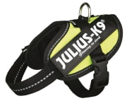 Hundesele Julius K9 IDC Baby 2 14817 Neon Gul 2XS/S 33-45cm