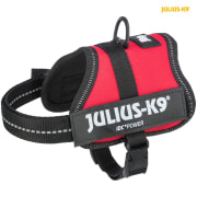 Hundesele Julius K9 Baby 2 150003 Rød 2XS/S 33-45cm