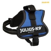 Hundesele Julius K9 Mini-Mini XS 150102 Blå 40-53cm