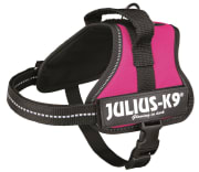 Hundesele Julius K9 Mini-Mini XS 150108 Fuchsia 40-53cm