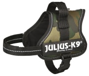 Hundesele Julius K9 Mini-Mini XS 150121 Camo 40-53cm