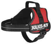 Hundesele Julius K9 Mini S 150203 Rød 51-67cm