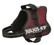 Hundesele Julius K9 Mini S 15027 Burgunder 51-67cm