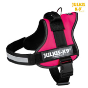 Hundesele Julius K9 Str 0 150308 Fuchsia M/0 58-76cm