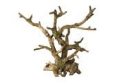 Akv. Pynt 234-424094 Bonsai Tre Brun Uten Blader 26x10,5x24cm