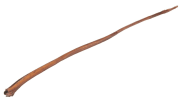 Oksemuskel 70-80cm (10stk)