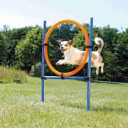 Agility Ring 3208 1,15m x D: 65cm Blå/Oransje