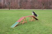 Agility Dogwalk 32090 456x30x64cm Max 80Kg