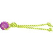 Hundeleke 33662 Aqua Toy TPR Ball M/Håndtak i Polyester Flyter Ø6 x 40cm