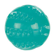 Hundeleke 33680 Dentafun Ball M/Mint Smak TPR Gummi Ø6cm