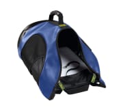 Backpack/Carrier Taylor 35x20x40 cm Polyester blue