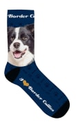 Sokker Border Collie 33-38