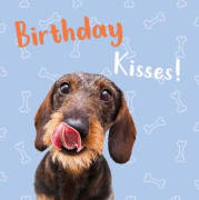 Kort Birthday Kisses Dachs 13,7x13,7cm