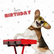 Kort Happy Birthday Beagle 13,7x13,7cm