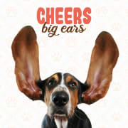 Kort Cheers Big Ears 13,7x13,7cm