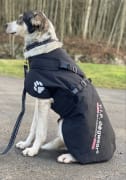 Hundedekken VIP Fast Track Sort M/63cm