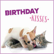 Kort Birthday Kisses 13,7x13,7cm