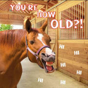 Kort You`re How Old?! Funny Horse 13,7x13,7cm