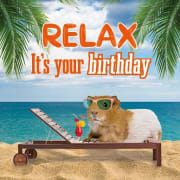 Kort Relax It`s your birthday Marsvin 13,7x13,7cm