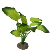 Akv. Pynt 242-468296 Anubias 3 Grønn 20cm