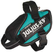 Hundesele Julius K9 IDC Mini S 14836 Petrol 49-67cm