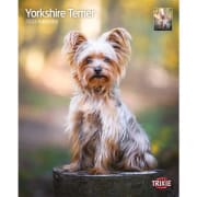 Kalender Yorkshireterrier 12587