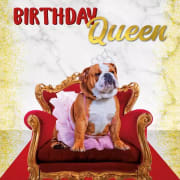 Kort Birthday Queen 13,7x13,7cm