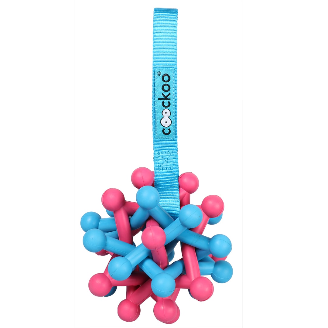 Hundeleke Coockoo Zane Pink Big Dog Toy Blå/Rosa 20x9,5x9,5cm Velkommen