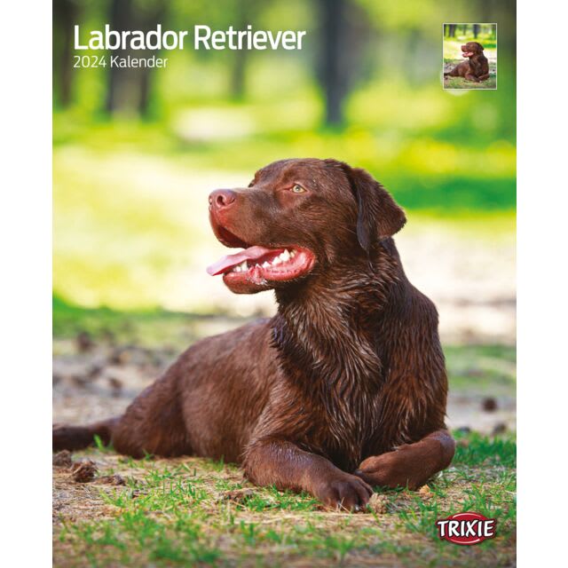 Kalender Labrador Retriever 12568 Velkommen