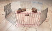 Hamsterbur 6247 M/8Ele. 34x23cm