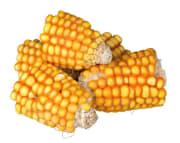 Natur Snack Maiskolber i Biter 300g (6stk)