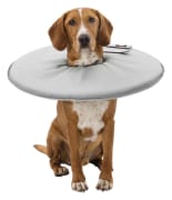 Sårkrage Polyester/Skum S 30-34cm/19,5cm Grå