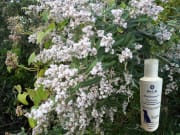 MediCleanse Pote og Sår Krem Hund (Allergi Hemmende) 100ml