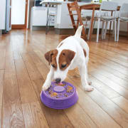 Hundeleke KONG Licks Spinz S