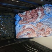 PROVIT Frossent Tygg Kalkunhals 10Kg Blokk, ikke singel fryst