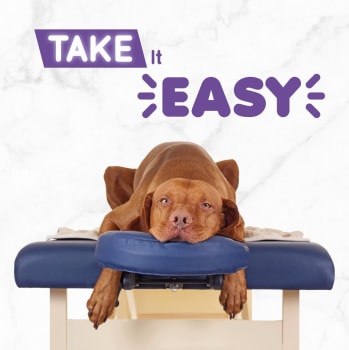 Kort Take It Easy 13,7x13,7cm