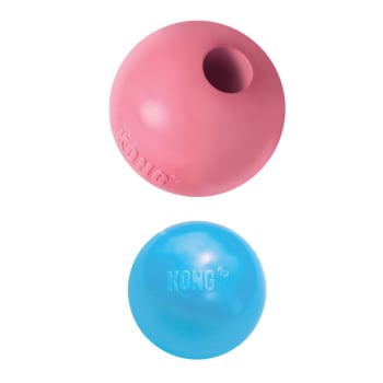 Hundeleke KONG Puppy Ball M/Hull M/L