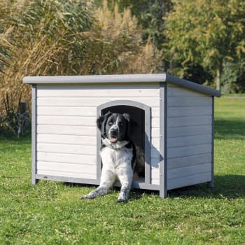 Hundehus Classic i Tre 39563 M/Flatt Tak L 116x82x79cm Grå