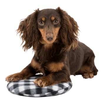 Varmepute 28792 Ø26cm Sort/Hvit