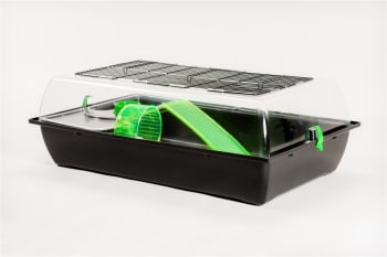 Hamsterbur Big Alex M/Plastikk topp 78x47x25cm