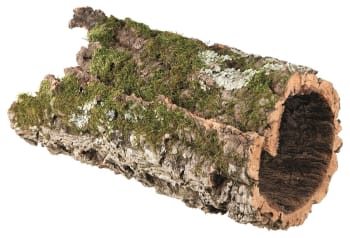 Tunnel XL Ø30cm/75cm Kork 100% Fornybar