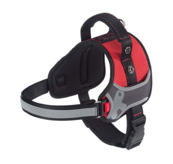 Hundesele Hercules S 39-47cm (Bryst) 50-60cm (Mage) Rød