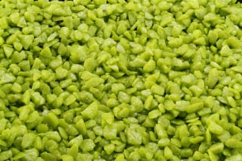 Akv. Grus Glamour Stone Bamboo Green 6-9mm 2kg