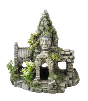 Akv. Pynt 234-105375 Hus Ruin 24x16,7x24,5cm