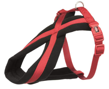 Hundesele Foret 203803 Rød S/M 40-70cm