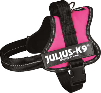 Hundesele Julius K9 Mini S 150208 Fuchsia 51-67cm
