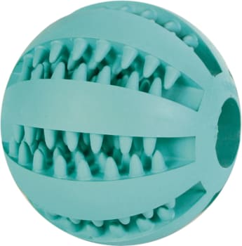 Hundeleke 3289 Dentafun Ball M/Mint 6,5cm