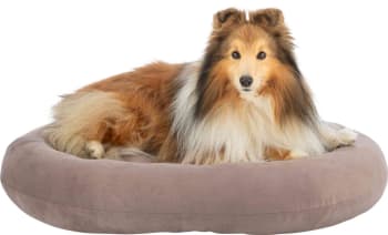 Hundeseng 37834 Talia 80x65cm Brun