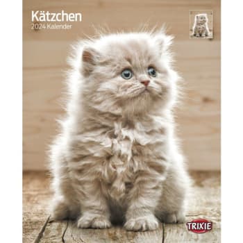 Kalender Kattunger 12591